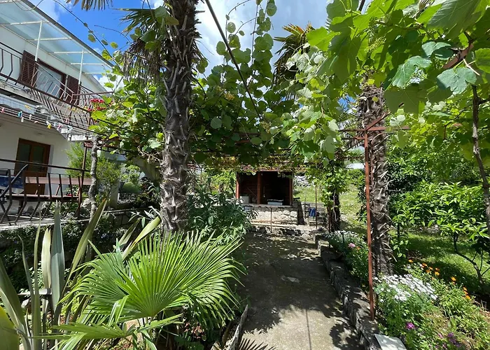 Apartments Miro