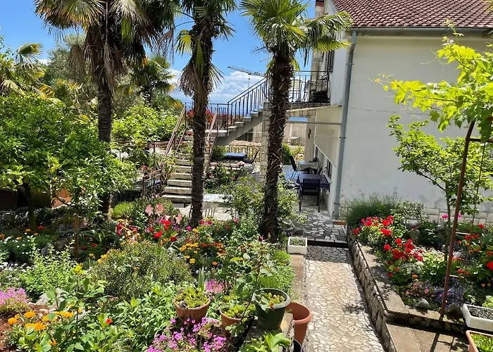 Apartments Miro